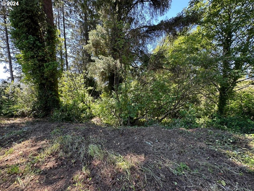 a view of outdoor space and trees