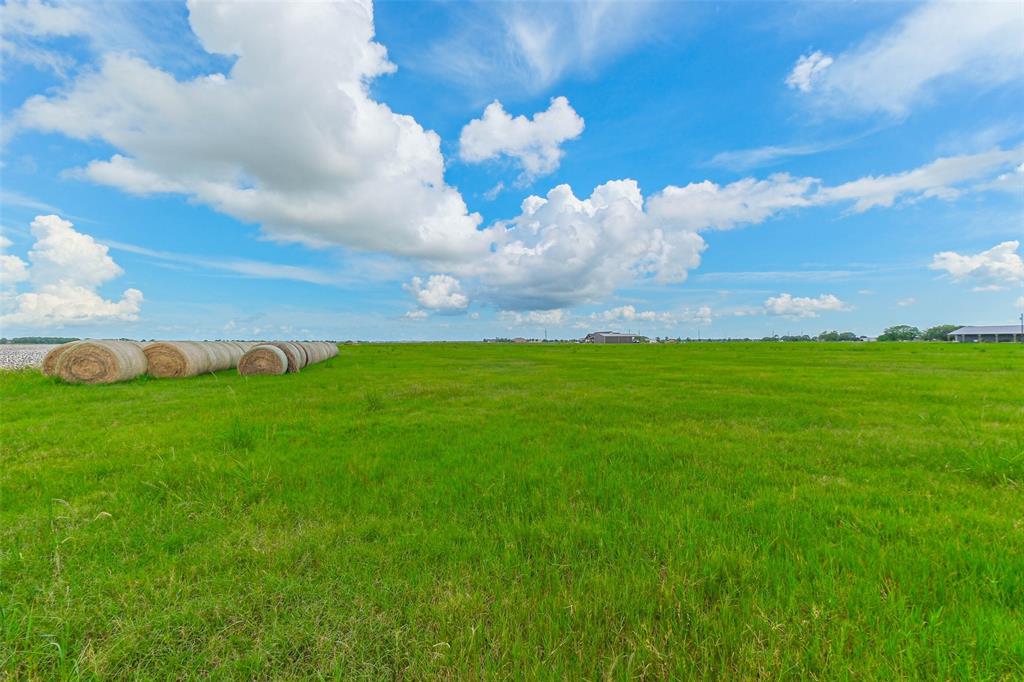 a view of a big yard