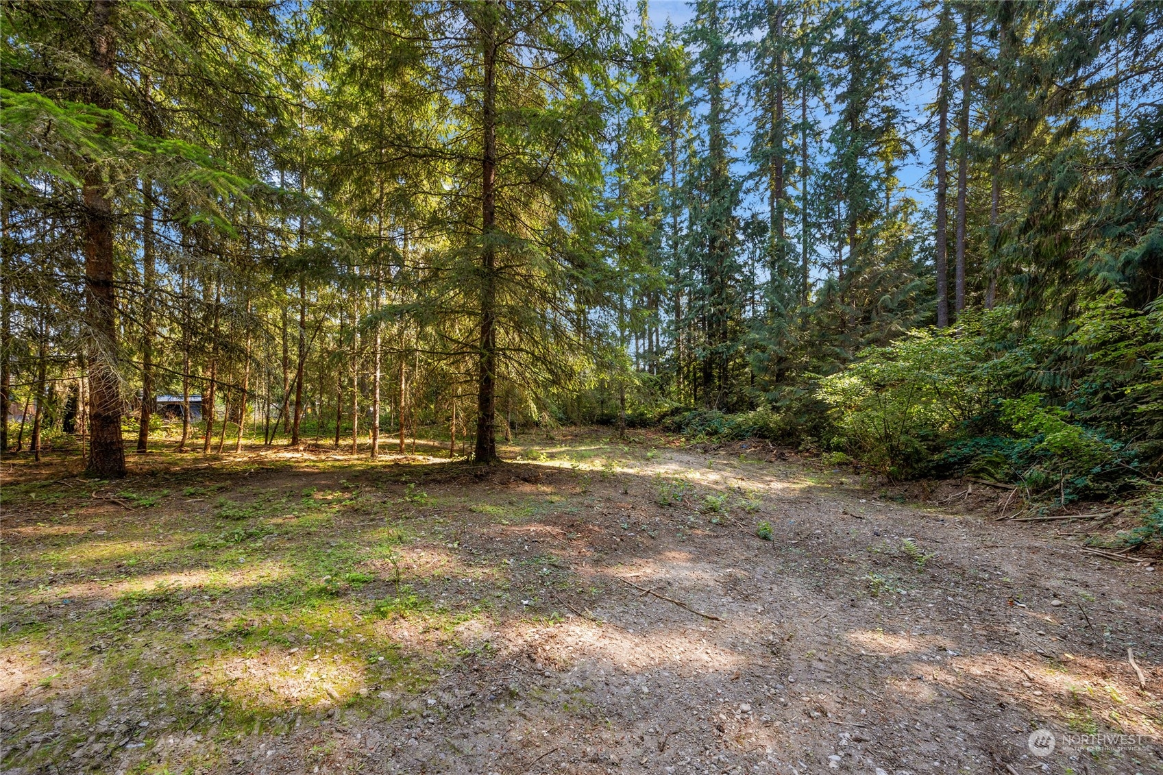 a view of a yard with a tree