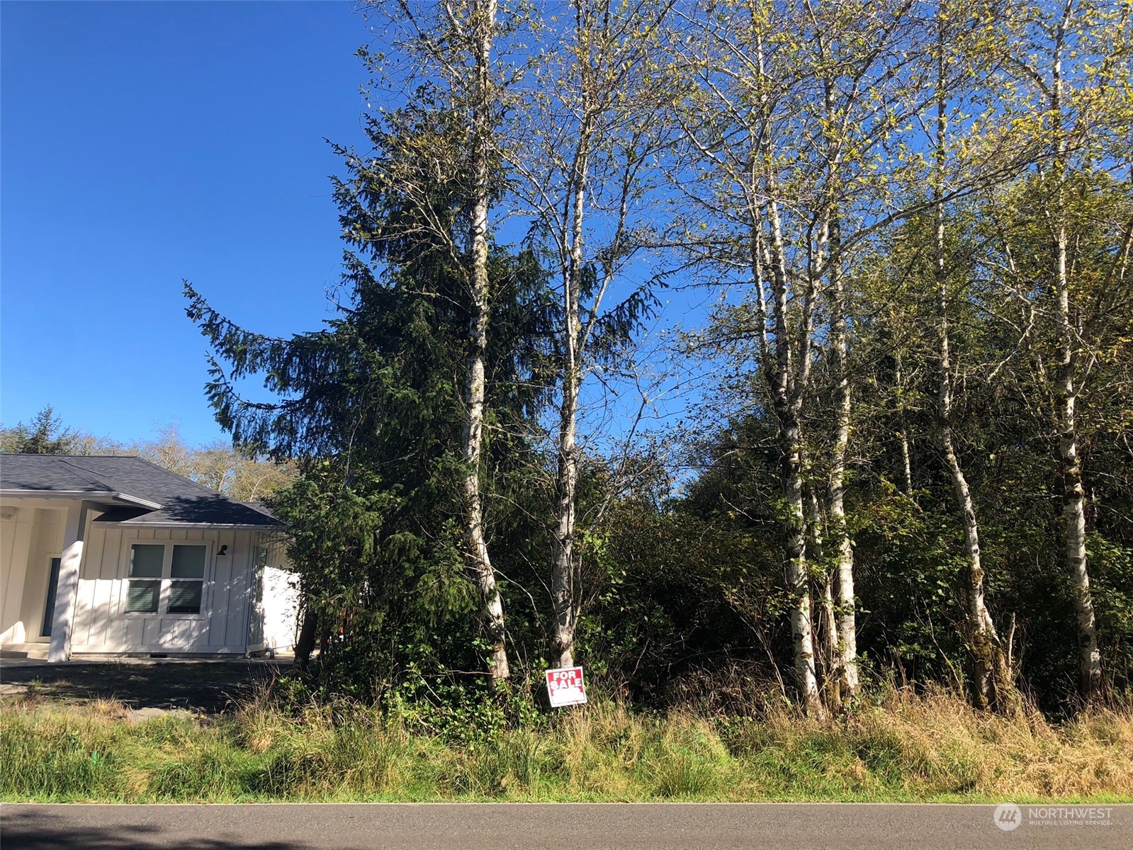 a view of house with a yard