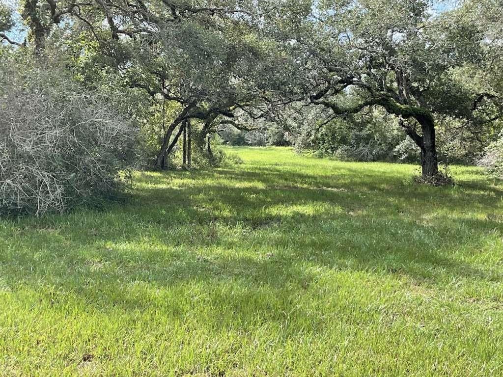 a view of outdoor space with a garden and trees