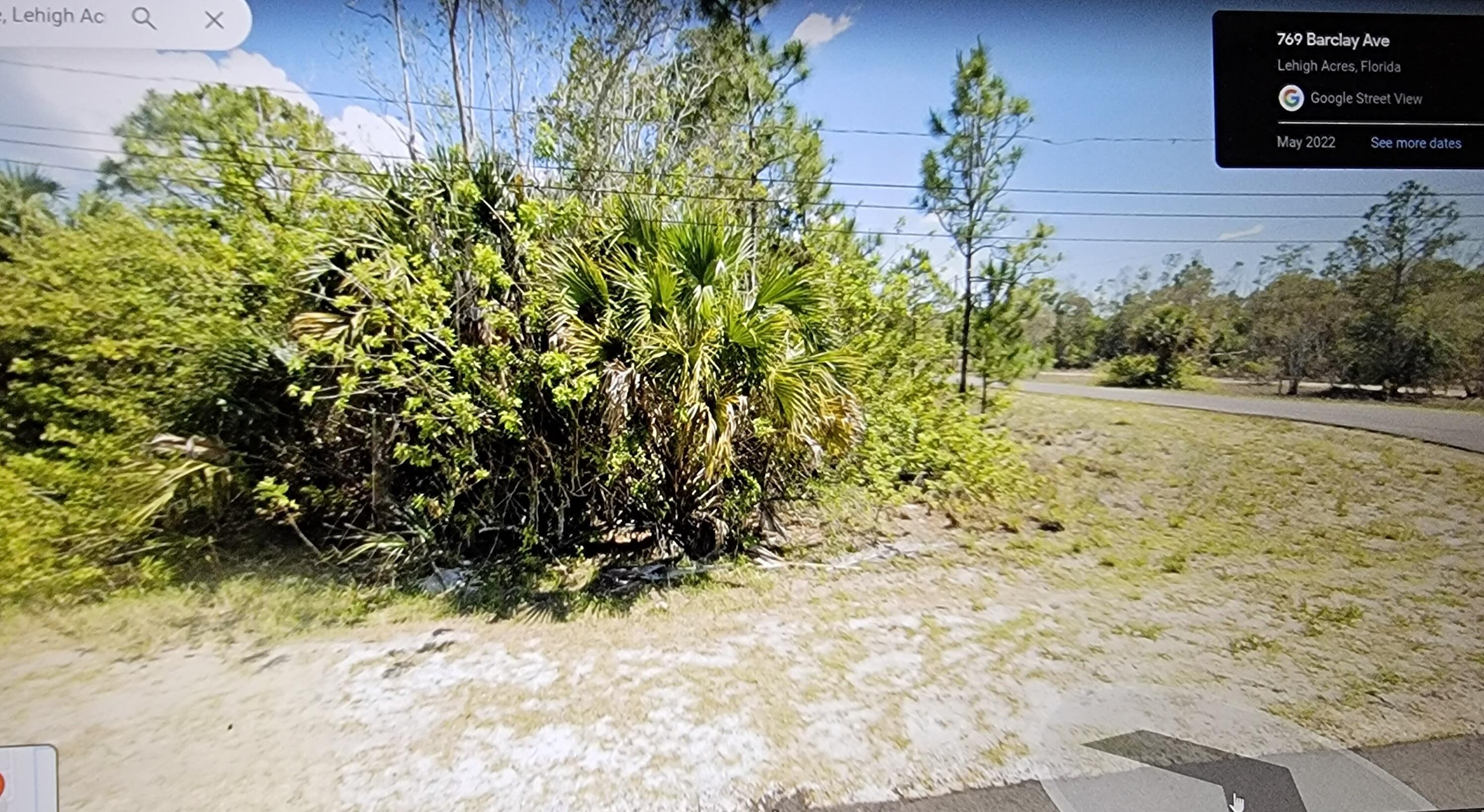 a view of a yard with plants and wooden fence