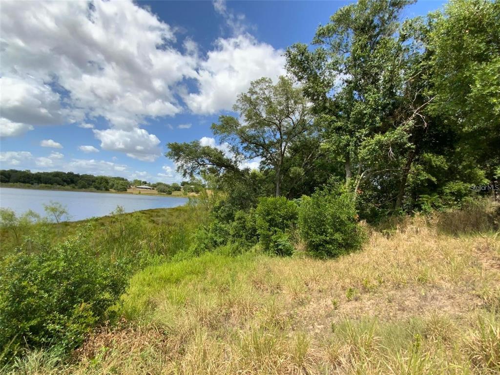 a view of a lake with houses in the back