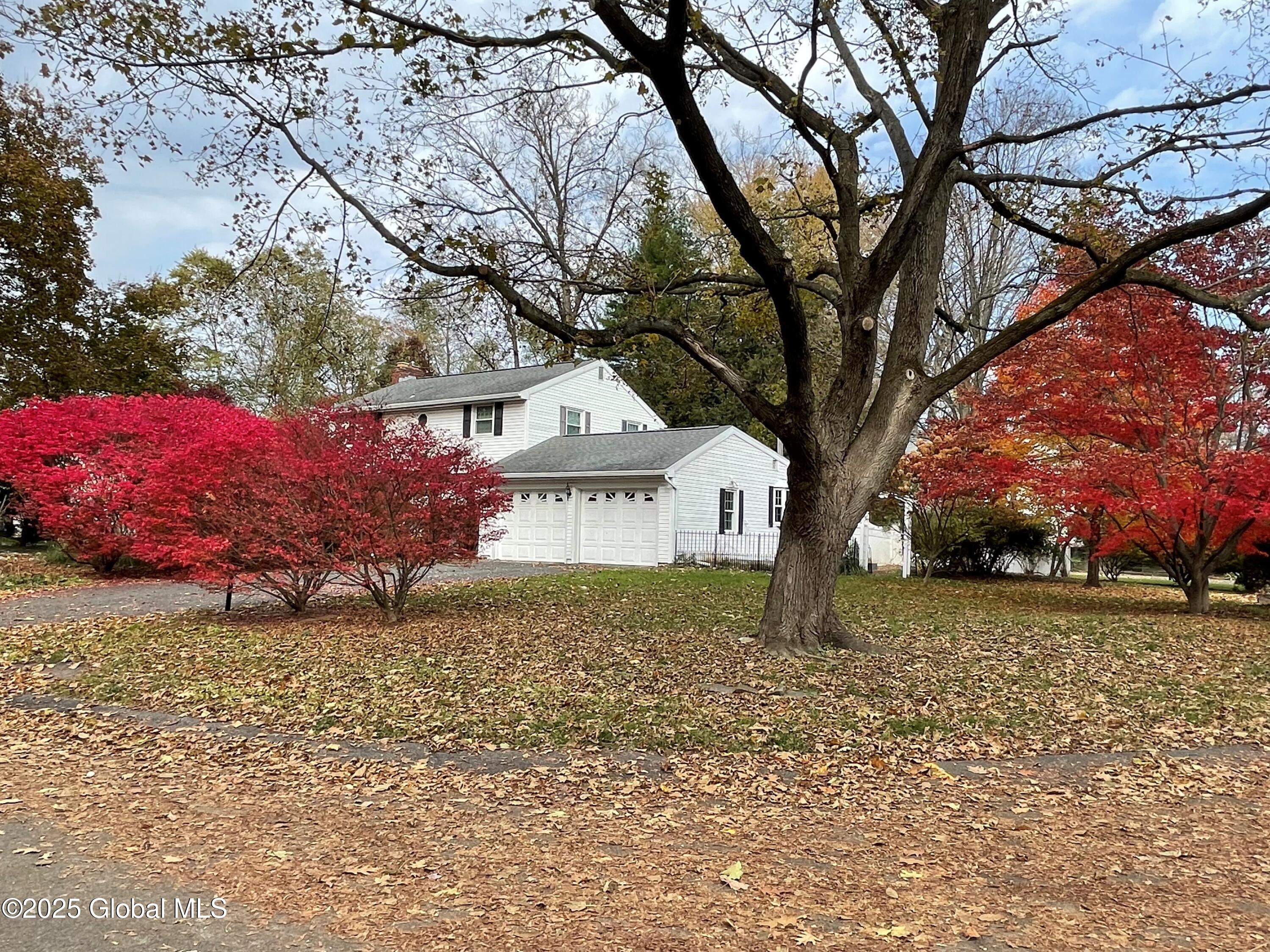 Red Trees and house