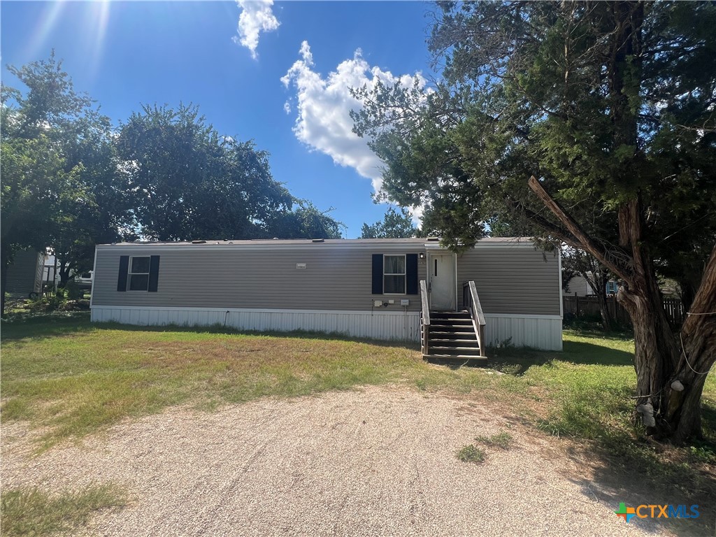 a view of a house with backyard and a tree