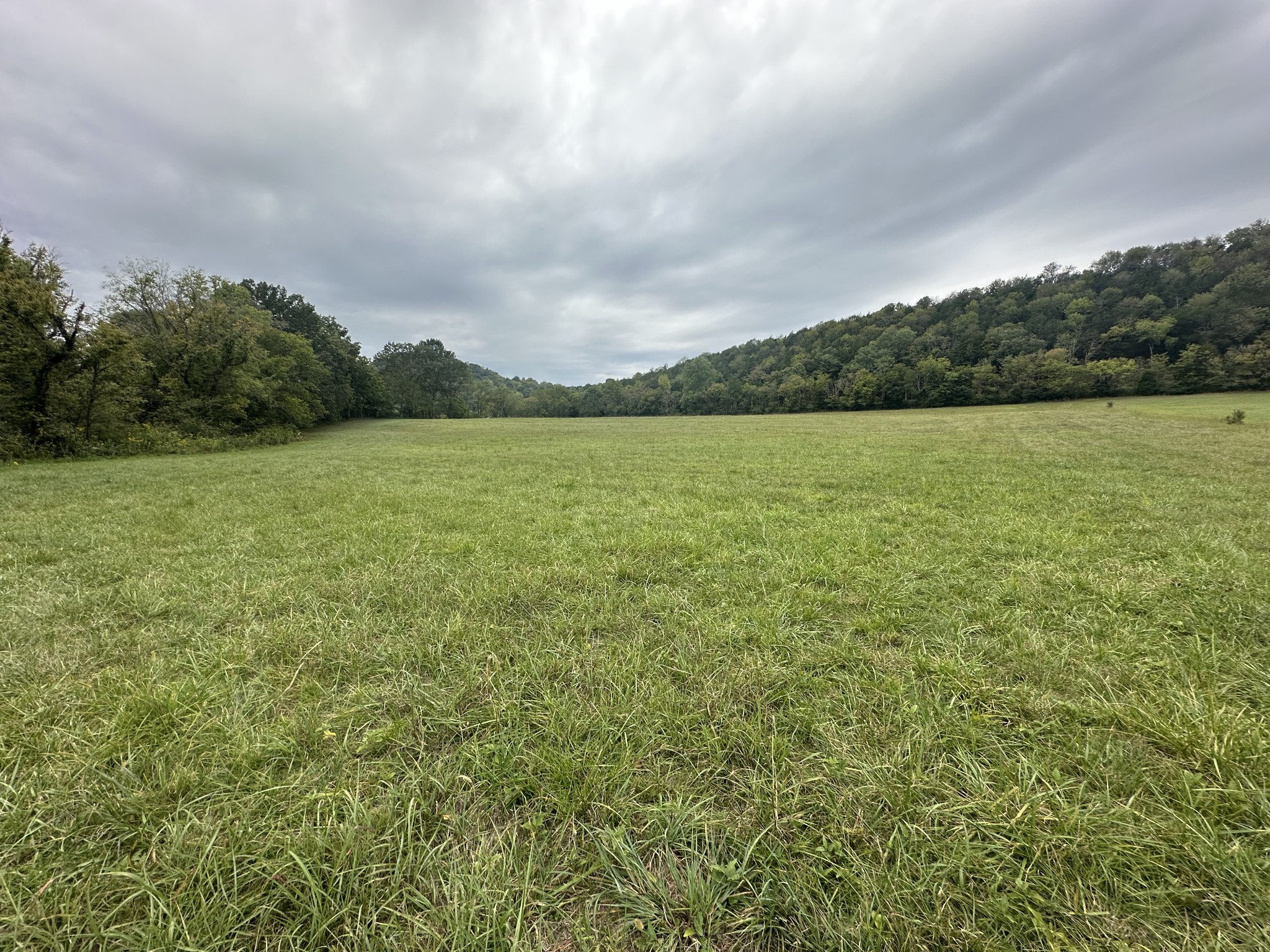 a view of a field with an ocean and trees