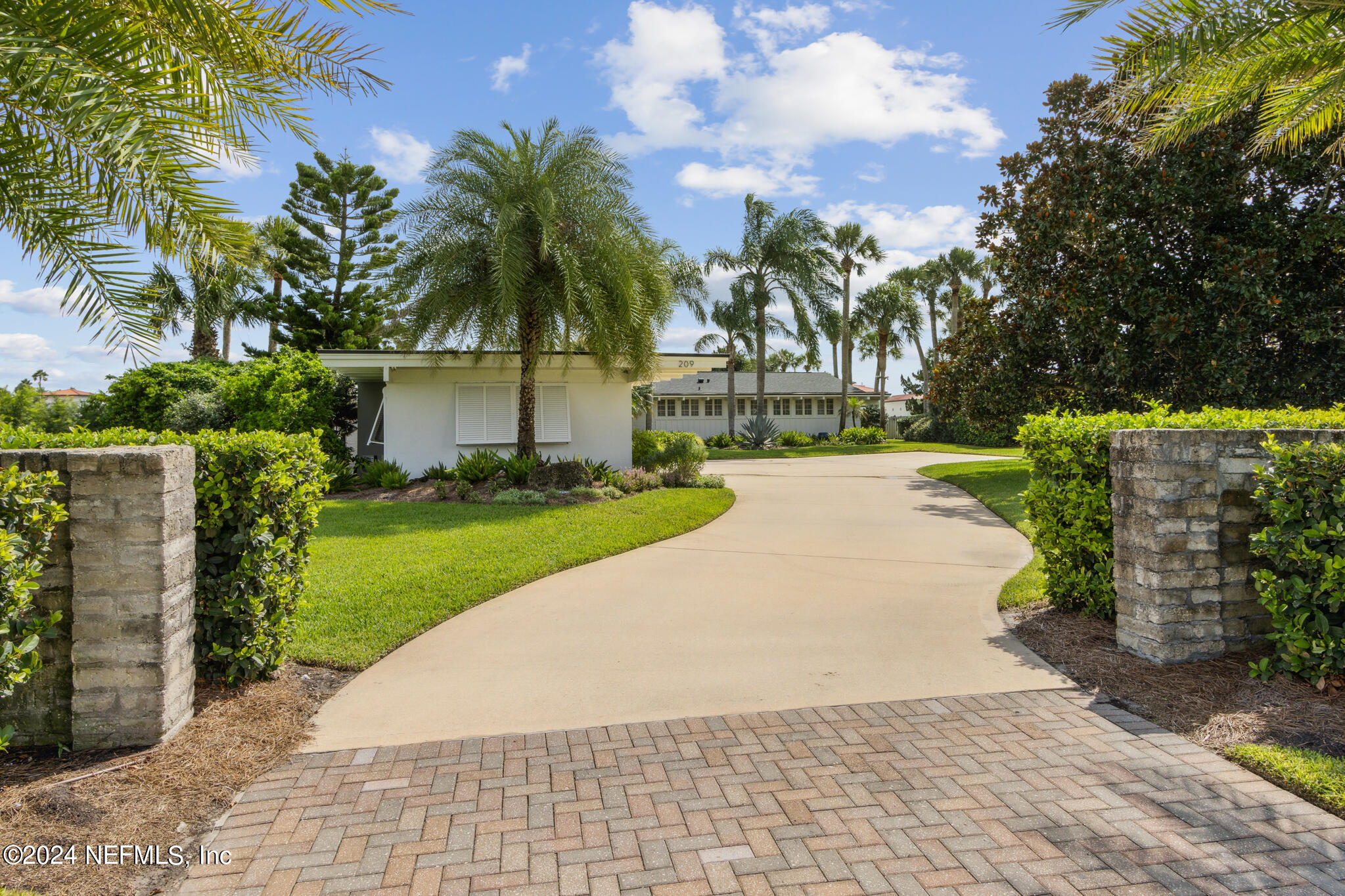 a view of a garden with palm trees