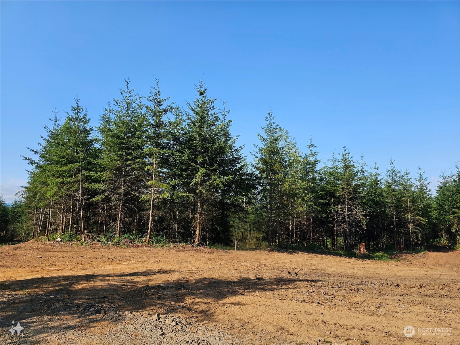 a view of a yard with an trees