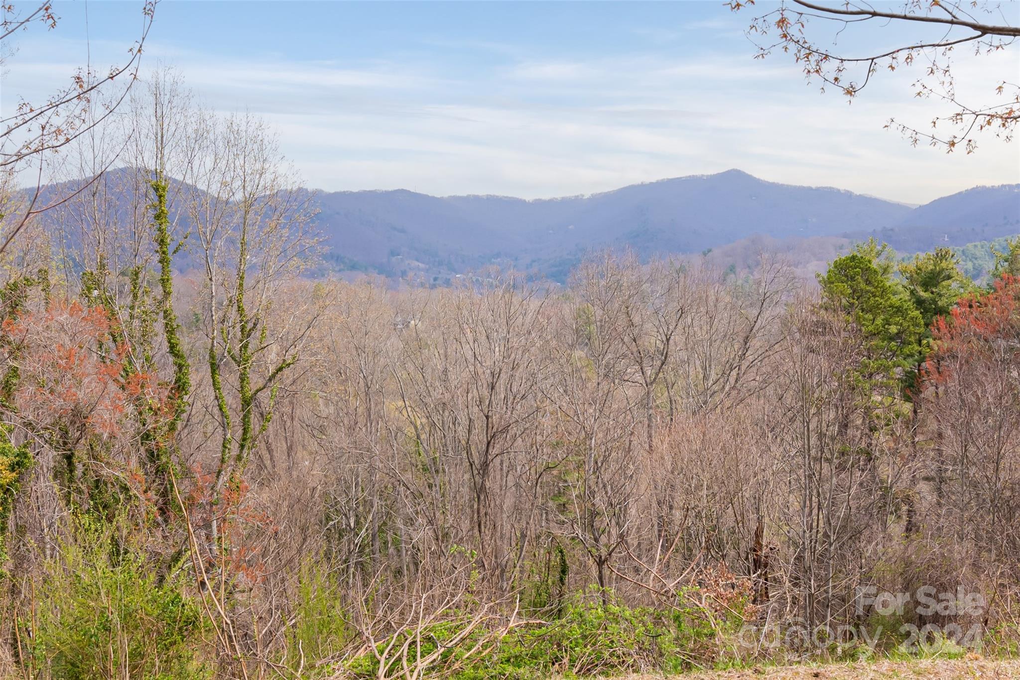 a view of a mountain in the distance in a field