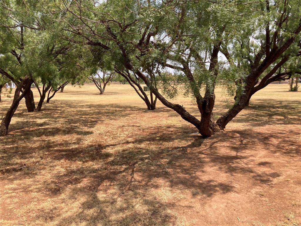 a view of an outdoor space with yard