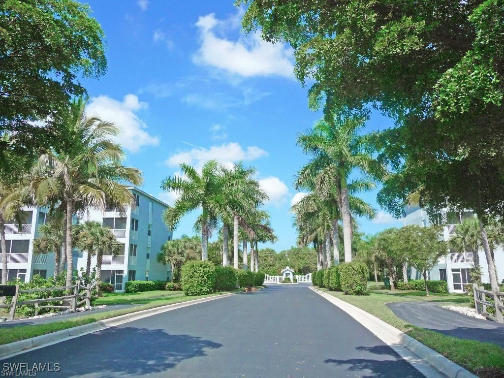 a view of a street with a tree