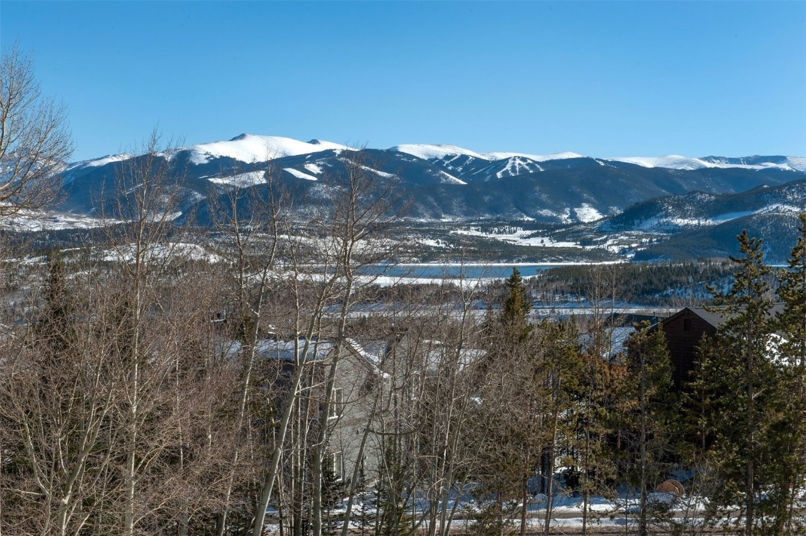 a view of a lake in middle of forest