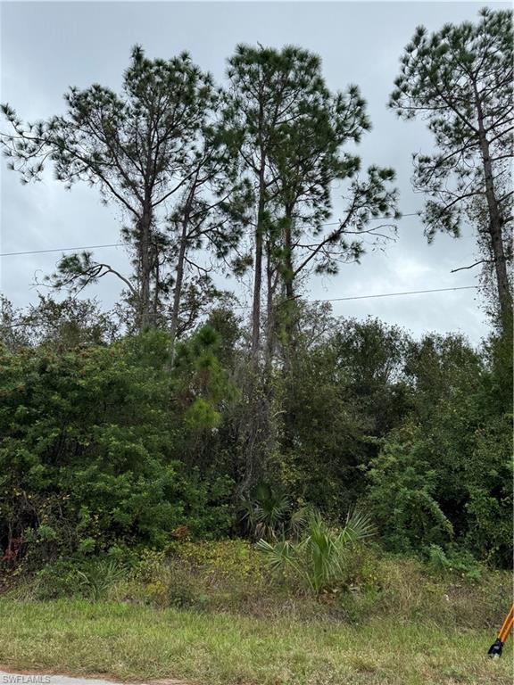 a view of a yard with a tree