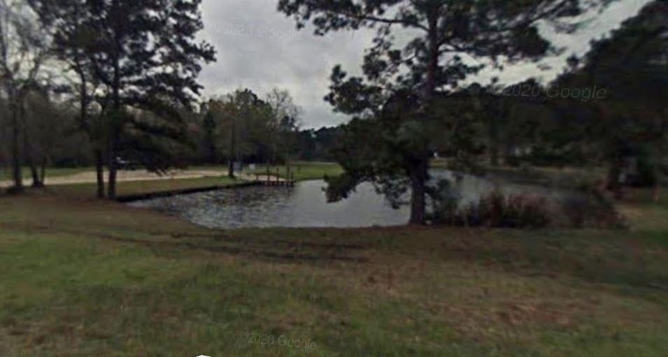 a view of outdoor space with trees all around