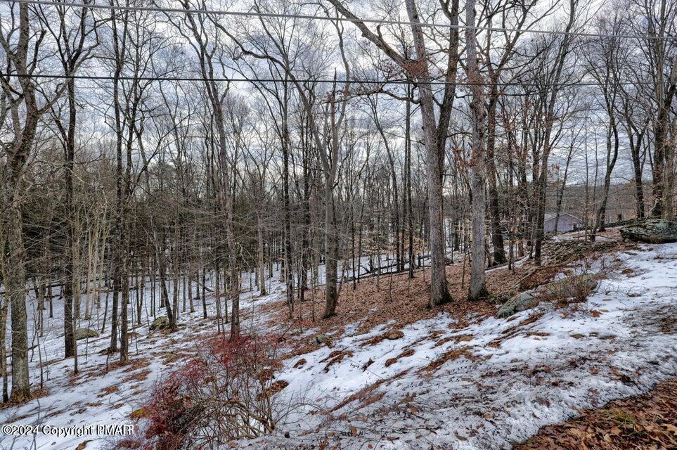 a backyard of a house with lots of trees