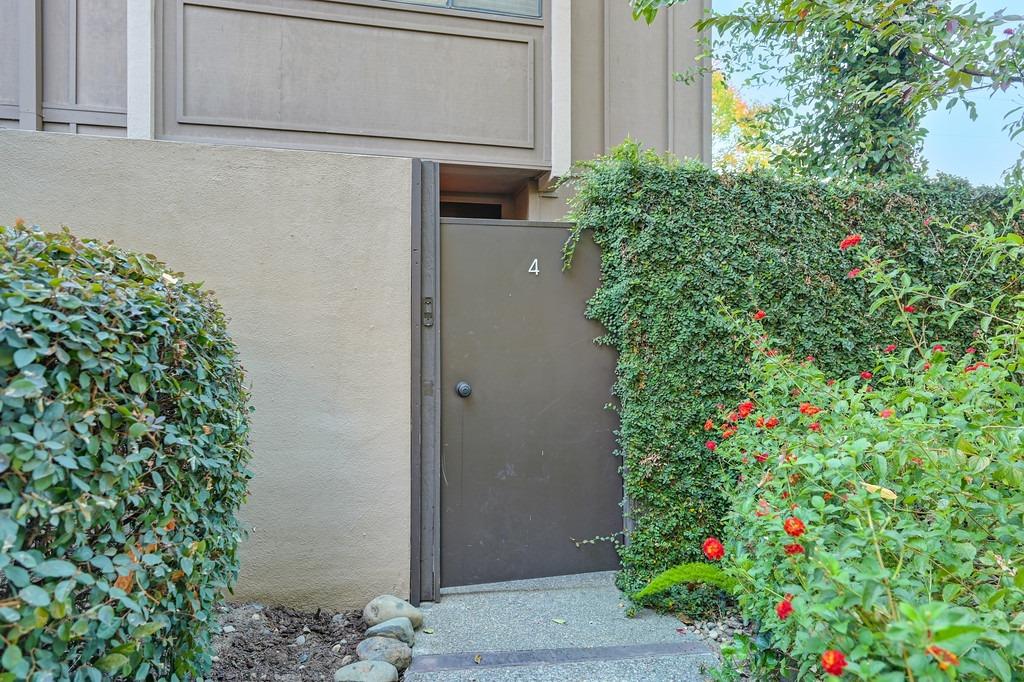 a flower plants in front of a door