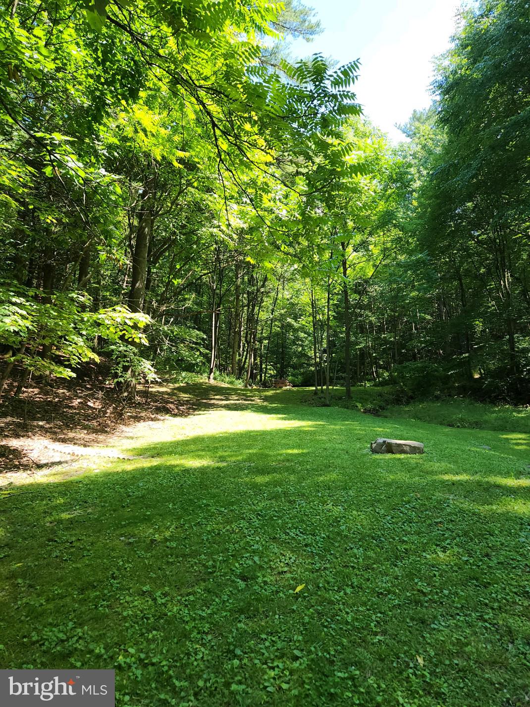 a backyard of a house with lots of green space