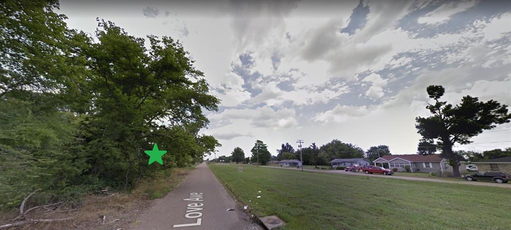 a view of a street with a big yard and a large tree