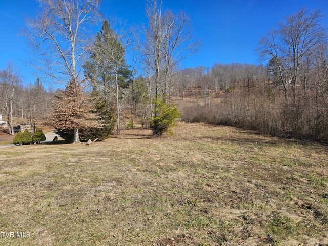 $22,000 | 0 Old Leadmine Bend Road