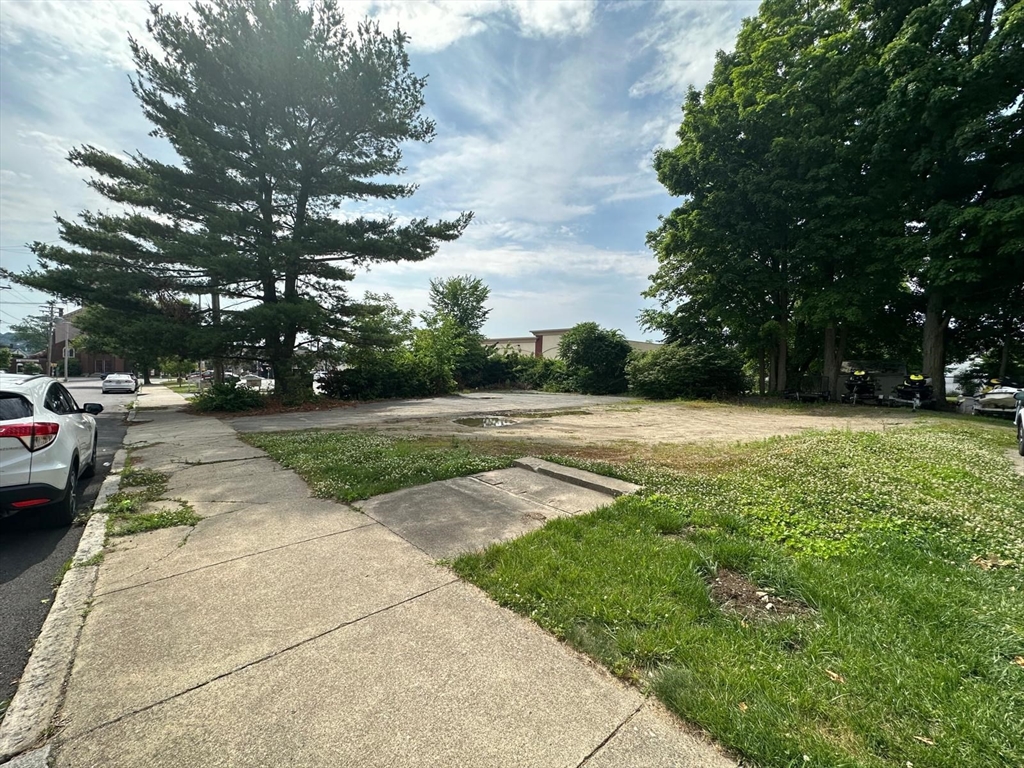 a view of a park with plants and trees