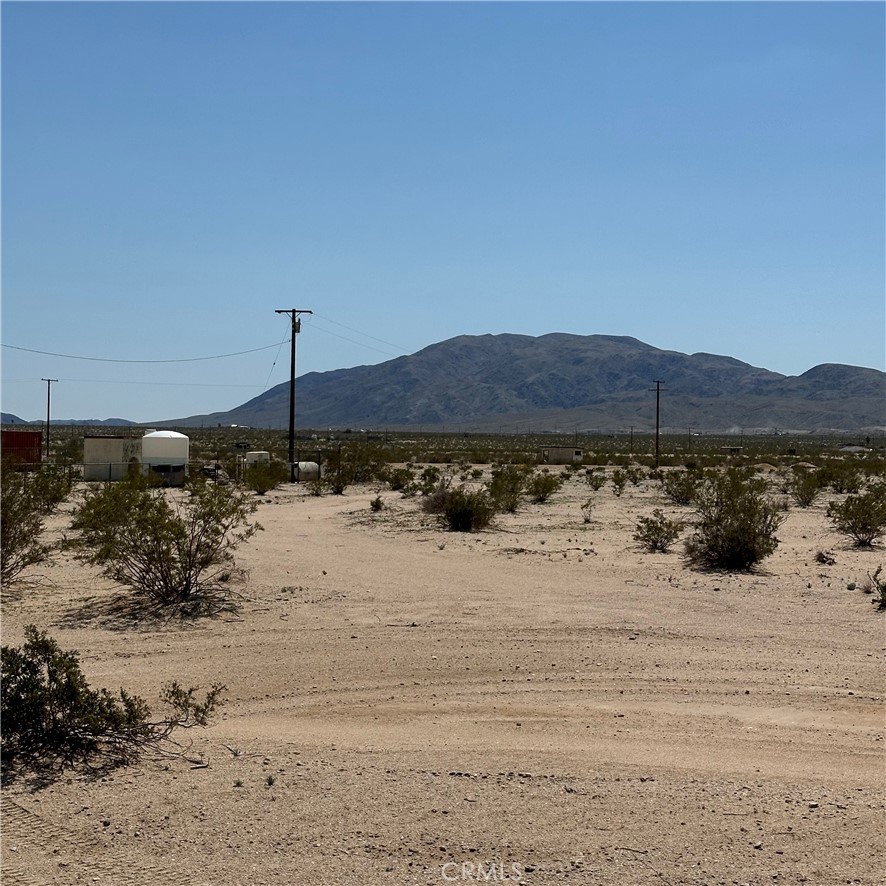 a view of a dry yard with a bench