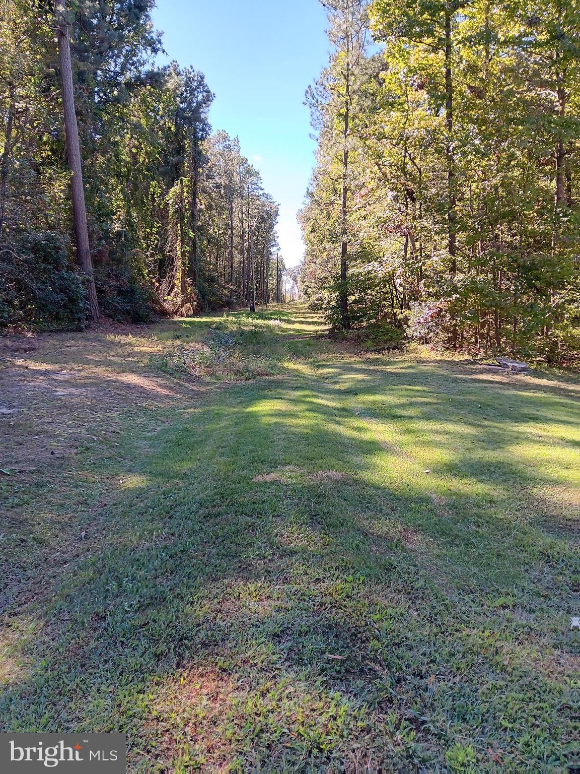 a view of a field with trees