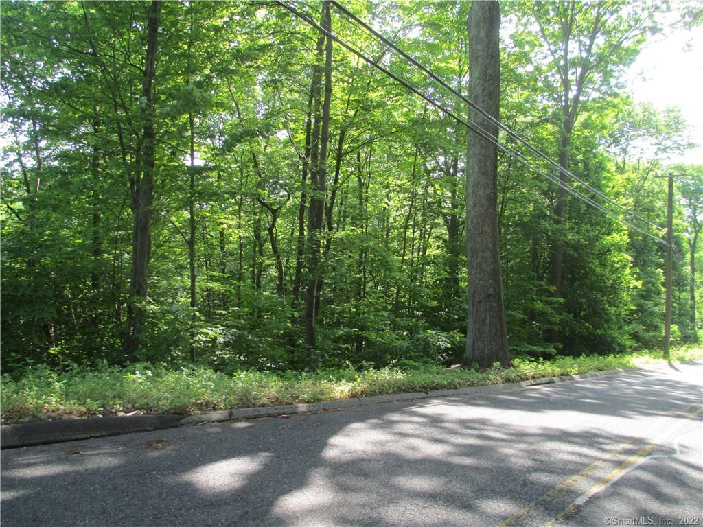 a view of a forest with trees