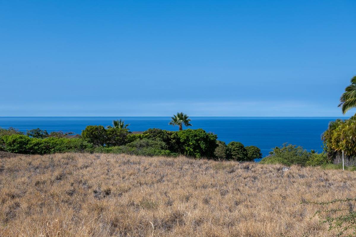 a view of a beach and a yard