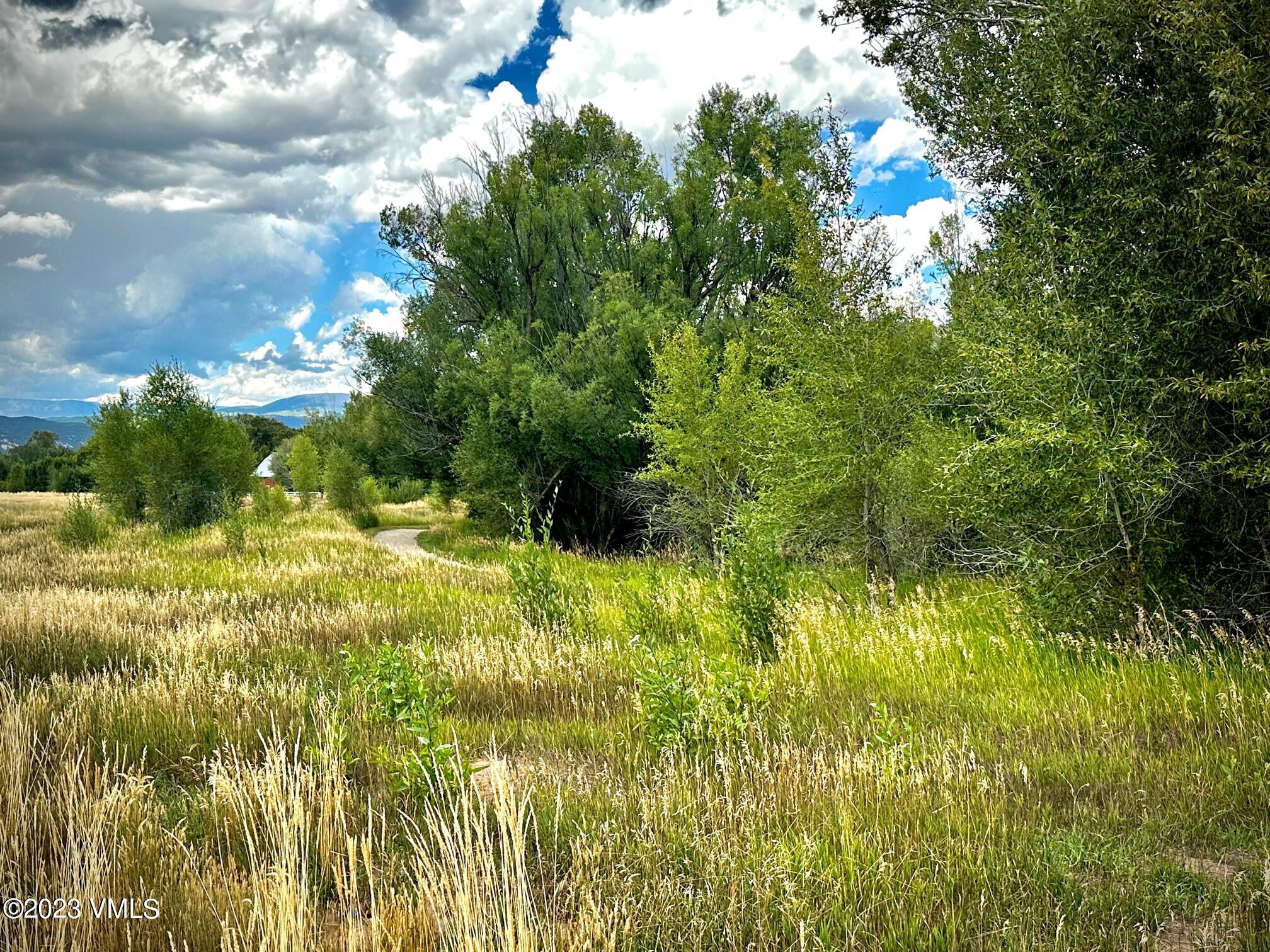 a view of yard with green space