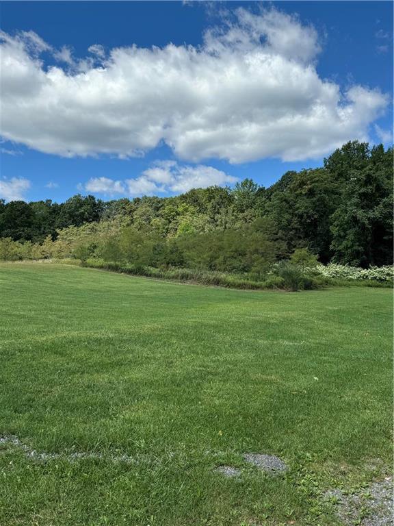 a view of a big yard with a large tree