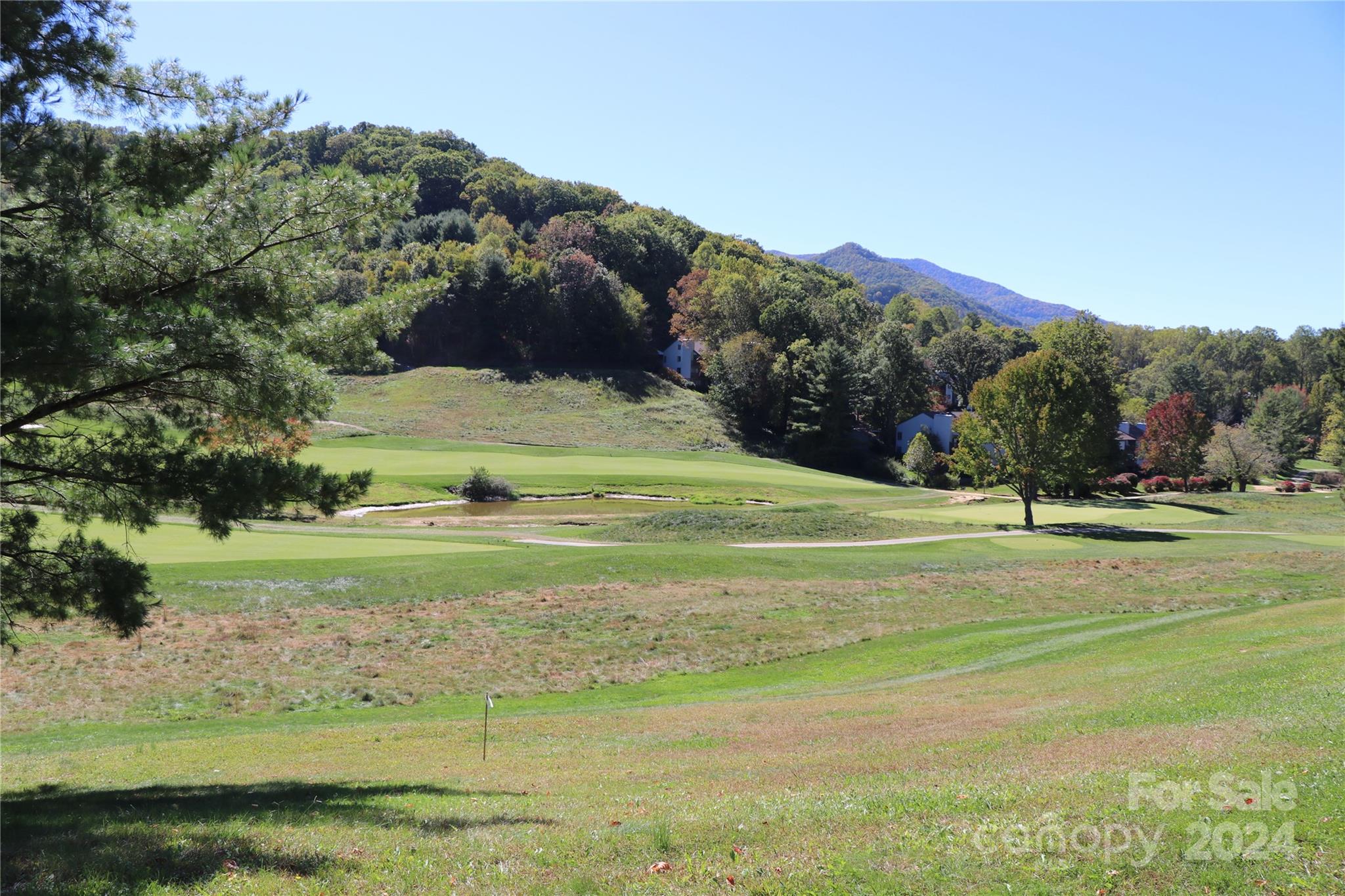 a view of a golf course with a park