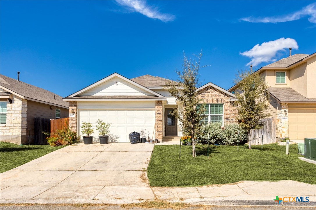 a view of a yard in front of a house with a large tree