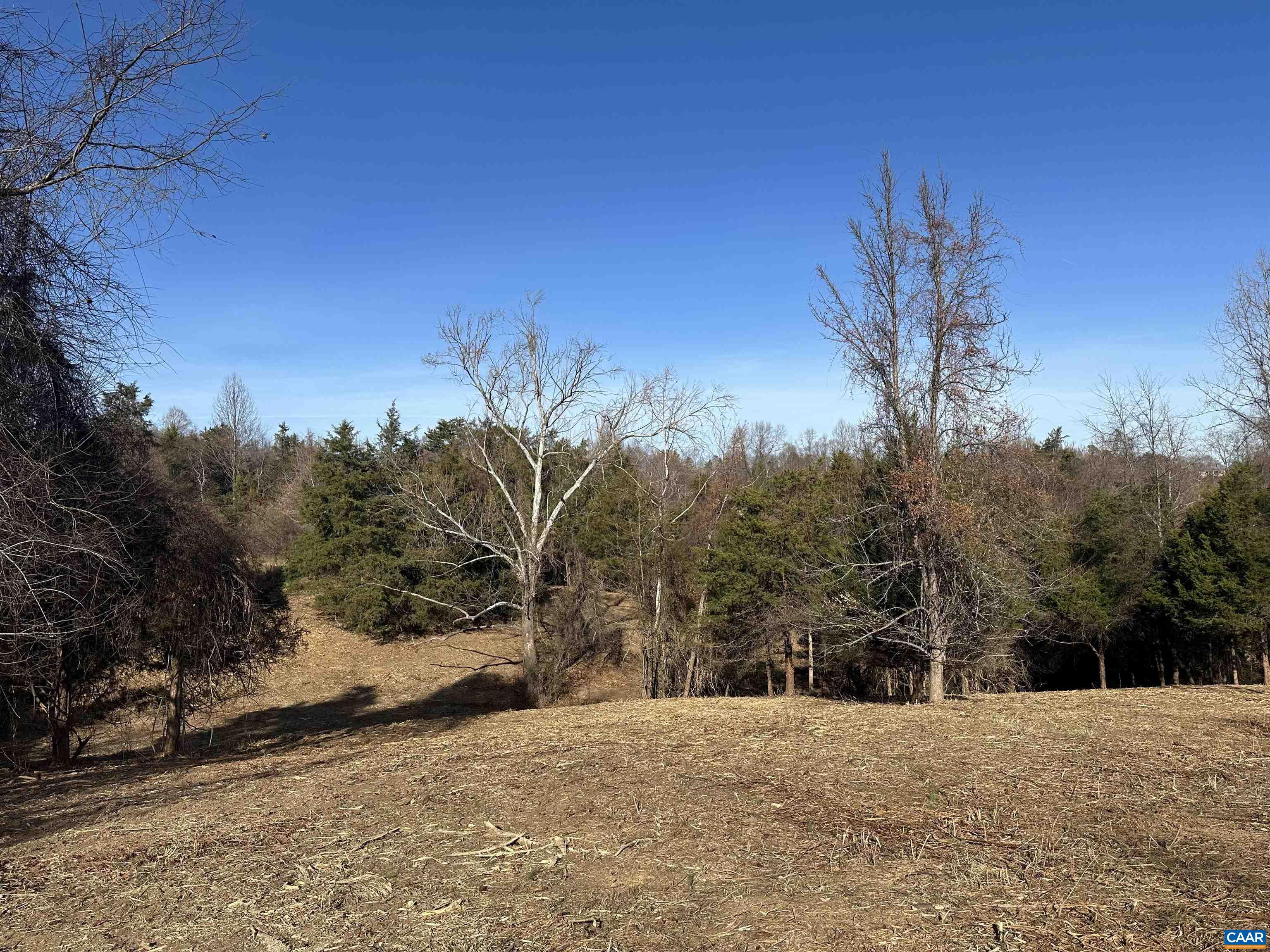 a view of dirt yard with a large tree