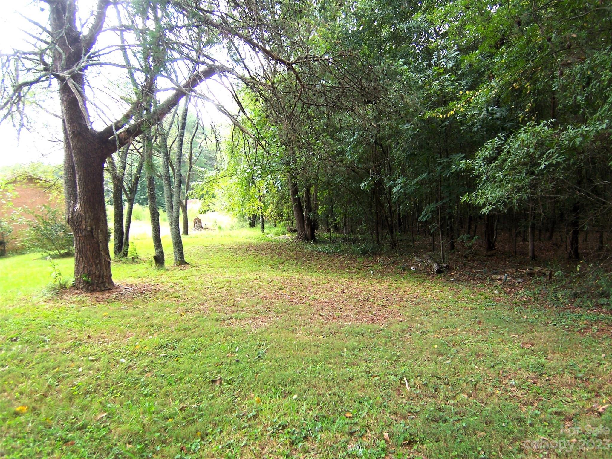 a view of outdoor space with trees