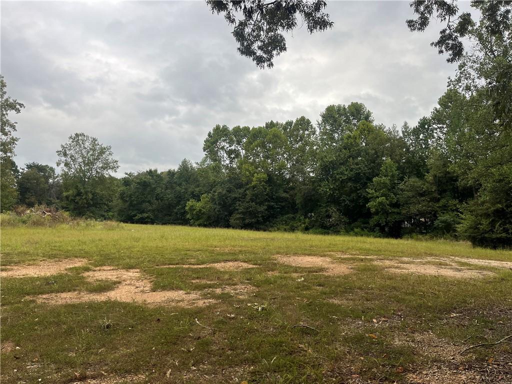 a view of a field with an trees in the background