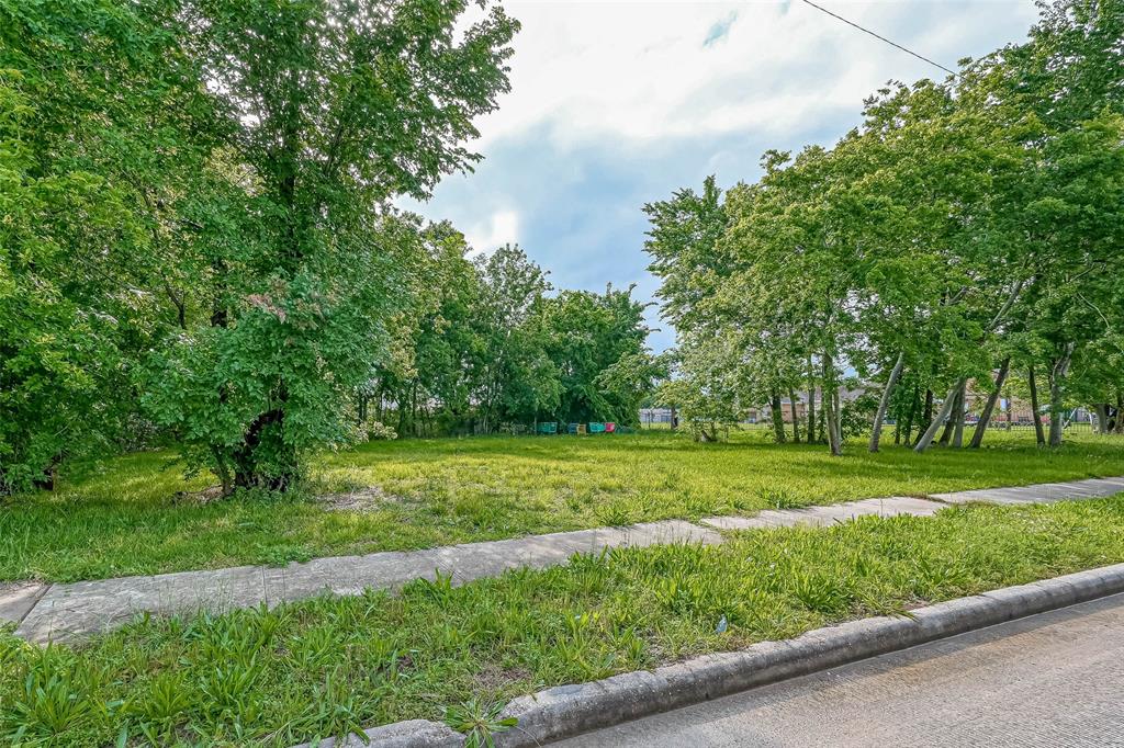 a view of a grassy field with trees