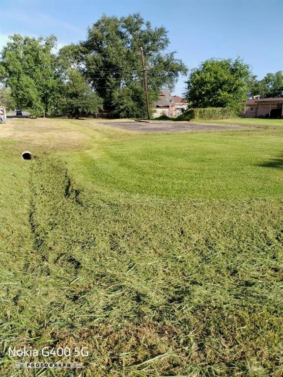 a view of outdoor space and yard