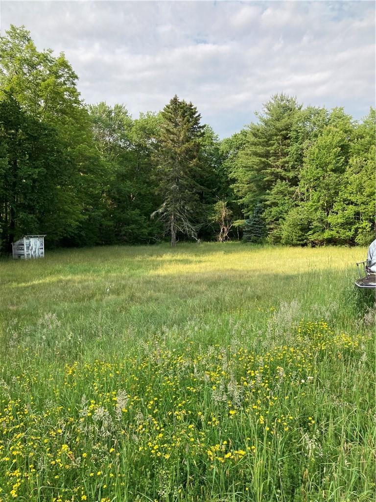 a view of field with trees in the background