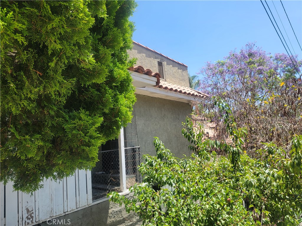 front view of a house with a tree