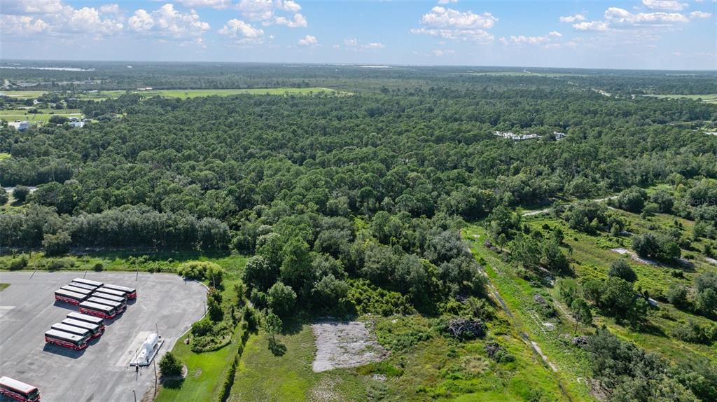 a view of a city with lush green forest