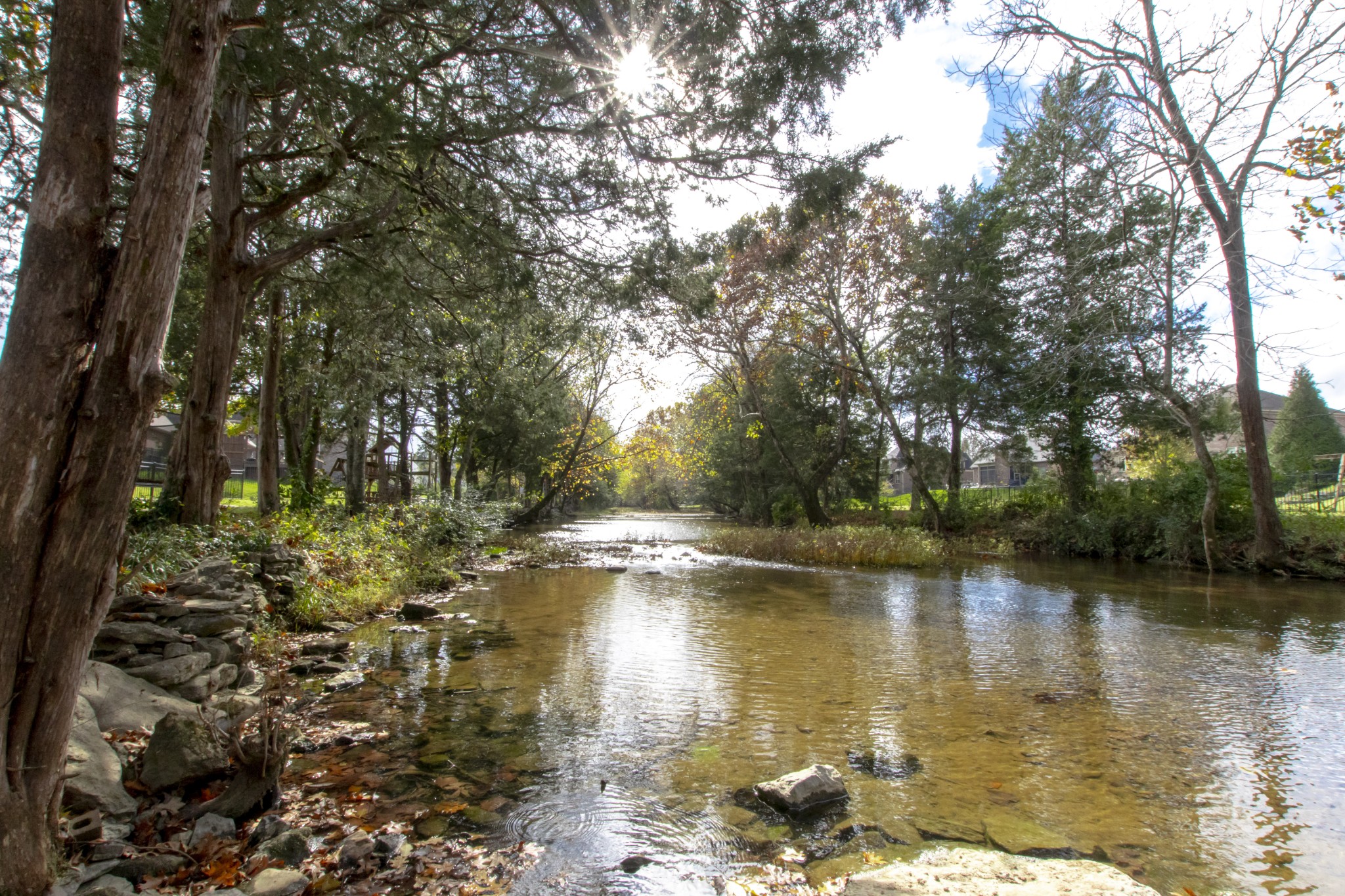 Fabulous view!  This back yard oasis is absolutely breathtaking and so serene. Here is the perfect place to relax after a long day. Stay with me and enjoy everything this home has to offer. Picture PERFECT!