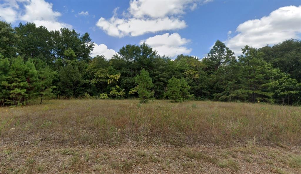 a view of a field of grass and trees