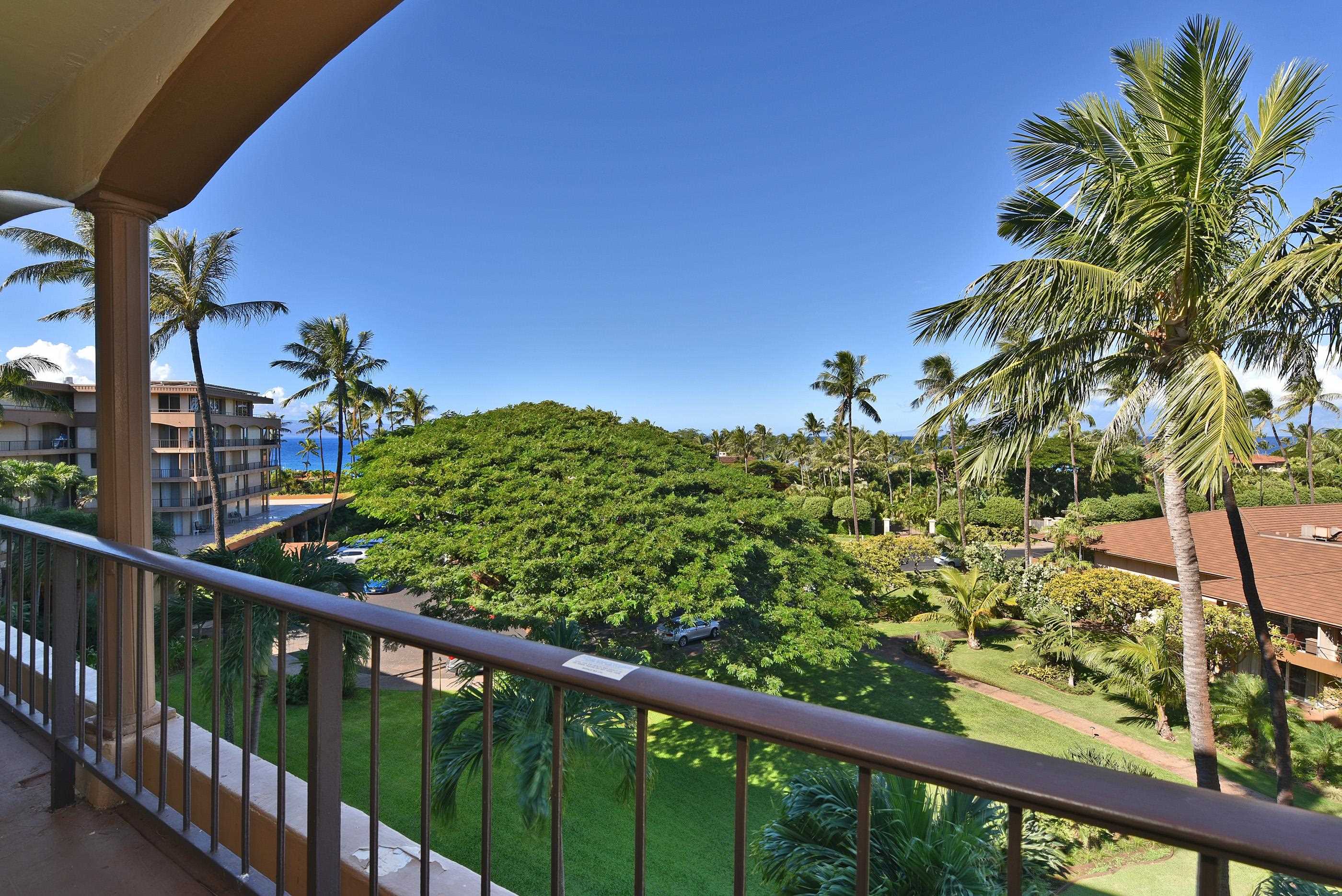 a view of a balcony with a plant