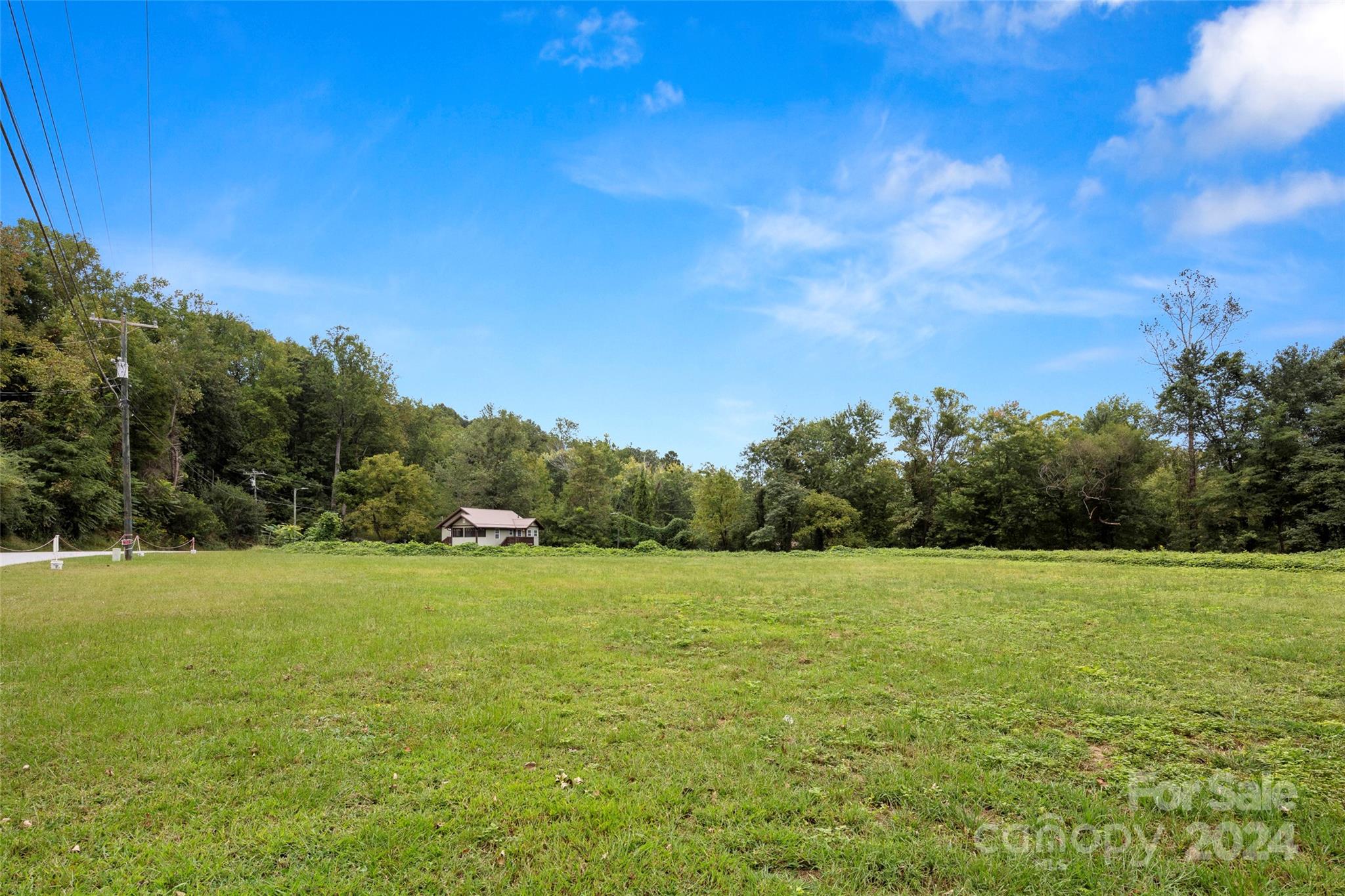 a view of a field with trees in the background