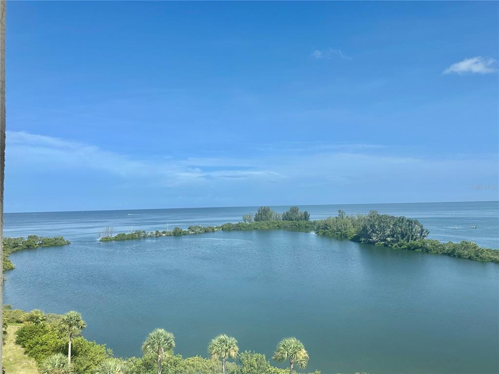 a view of a lake with a city view