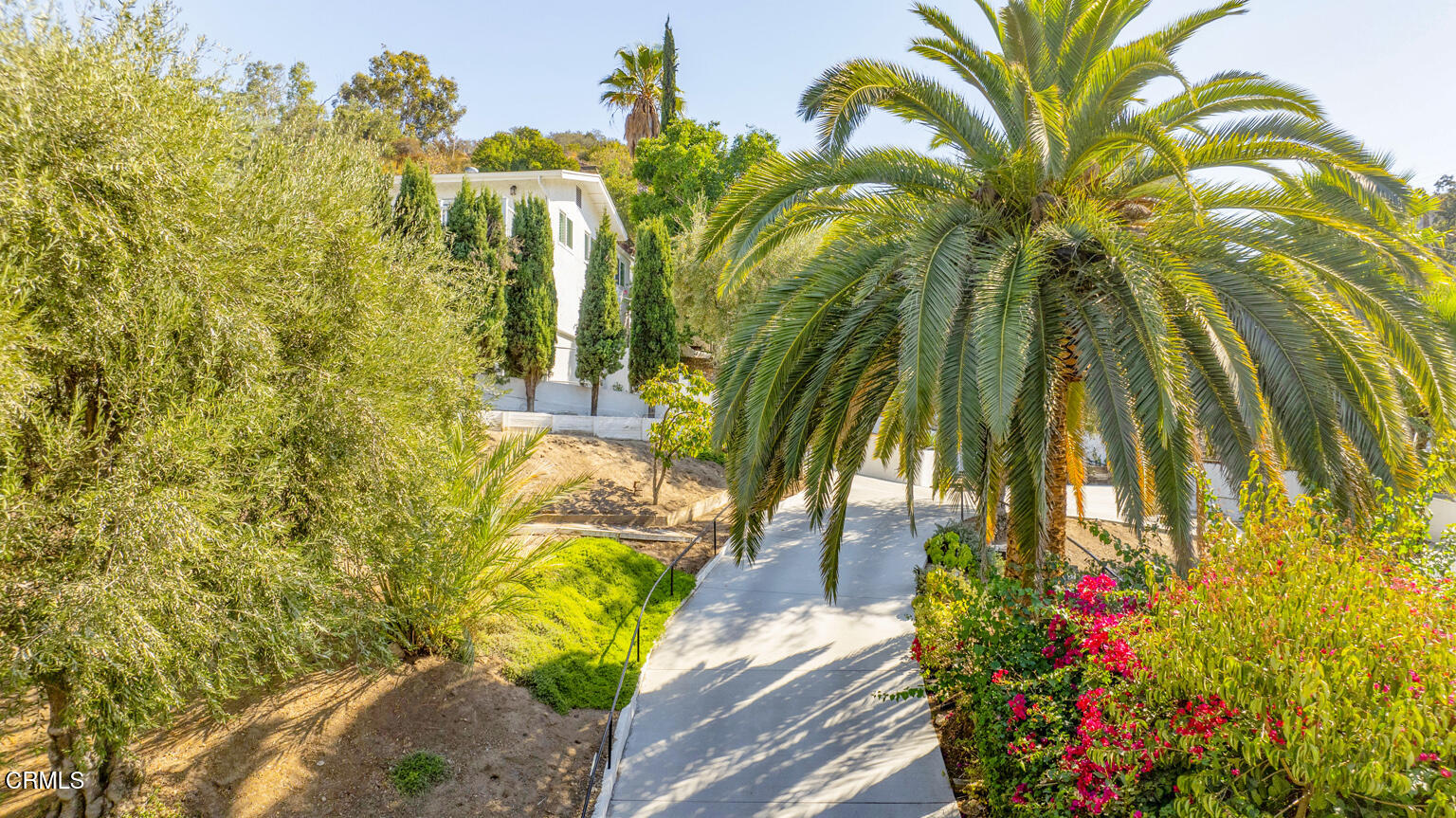 a view of a flower garden with a tree