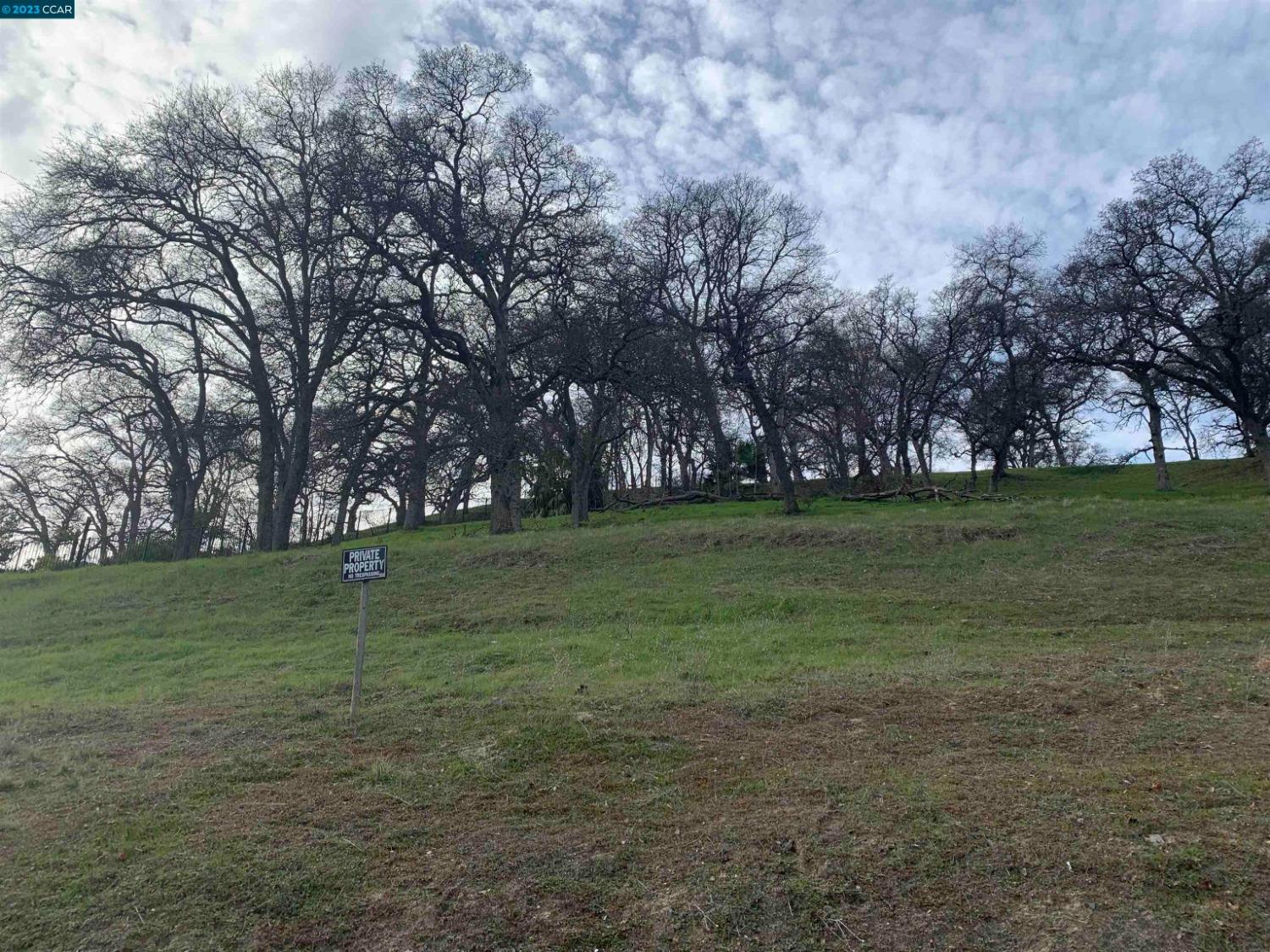 a view of a field with trees