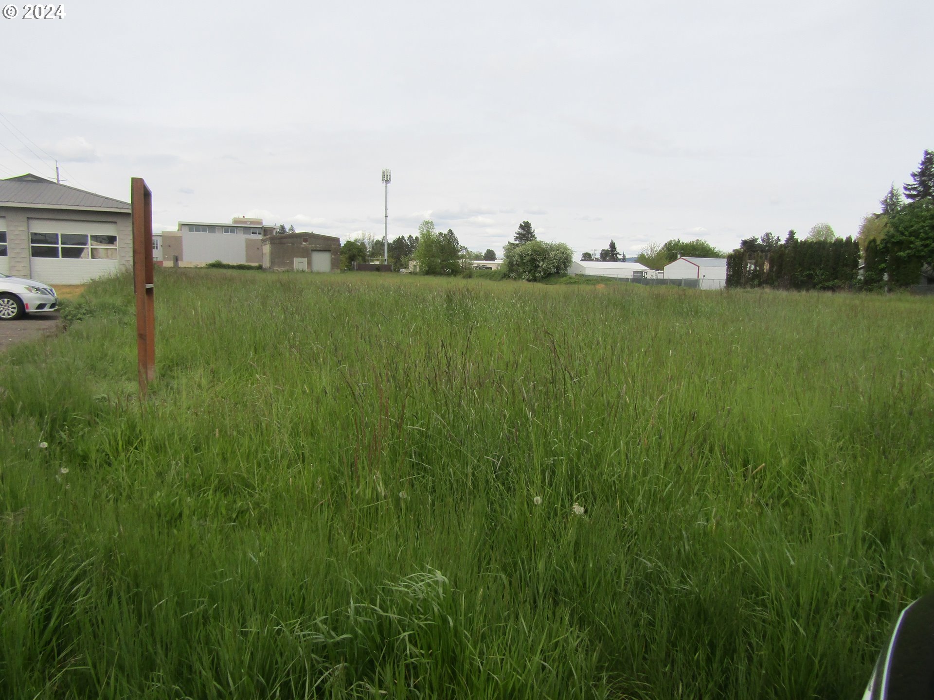 a view of a grassy field with trees