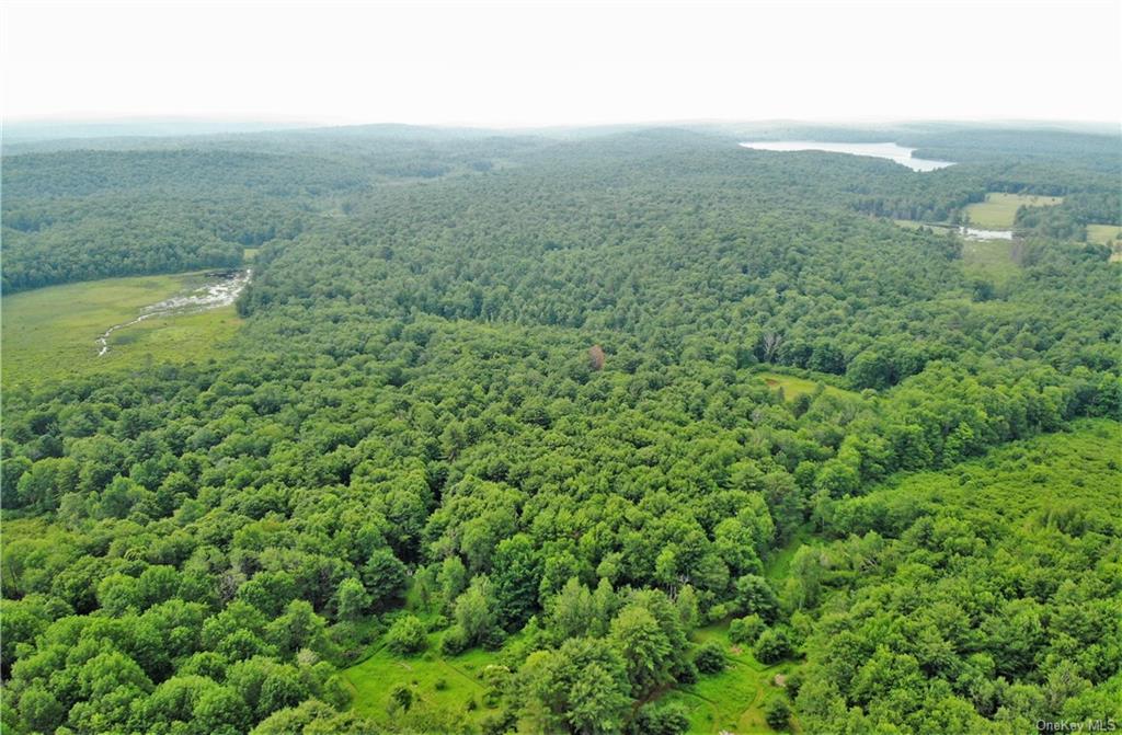 a view of a green field with lots of bushes