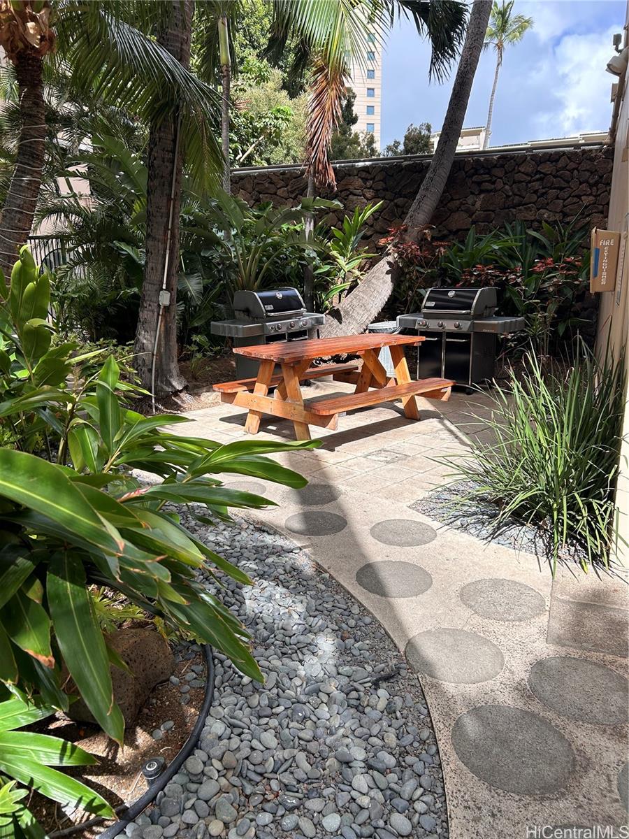 a view of a backyard with plants and palm trees